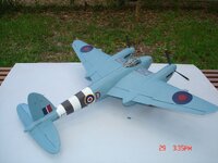 Mossie 005.JPG