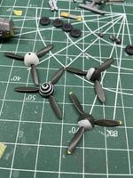 IMG_4325.jpeg