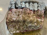 IMG_3788.jpeg