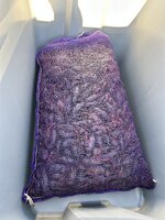 IMG_3821.jpeg