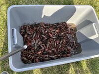 IMG_3826.jpeg
