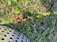 IMG_3828.jpeg