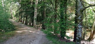 IMG_20240414_162959.jpg