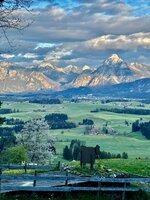 IMG_4016.jpeg