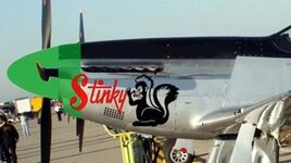 S2F Stinky 2x.jpg