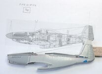 IMG_4868.jpg