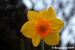 IMG_6171.jpg