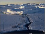 Aerial View of a Group of Adelie Penguins, Antarctica.jpg