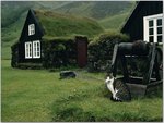 The Museum Cat, Skogar Museum, Iceland.jpg