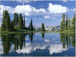 Alpine Tarn, Gunnison National Forest, Rocky Mountains, Colorado.jpg