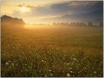 Cades Cove Sunrise, Great Smoky Mountains National Park, Tennessee.jpg