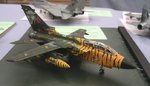 Tigermeet Tornado_2257.JPG