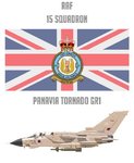 RAF_15Sqn_Front.jpg
