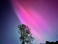 IMG_4244.jpeg
