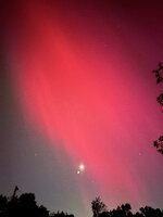 IMG_4249.jpeg