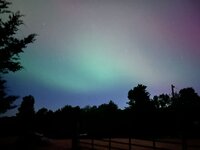 IMG_4256.jpeg
