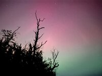 IMG_4262.jpeg
