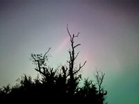 IMG_4267.jpeg
