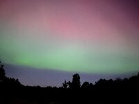 IMG_4264.jpeg