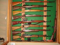 rifles 002.JPG