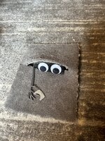 IMG_1707.jpeg