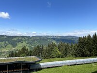 IMG_5040.jpeg