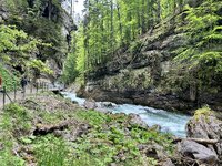IMG_4978.jpeg