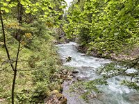 IMG_4972.jpeg