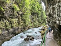 IMG_4974.jpeg
