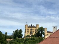 IMG_5298.jpeg IMG_5298.jpeg