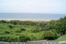 IMG_5920.jpeg