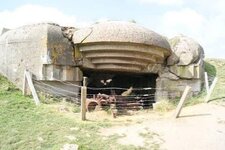 IMG_5923.jpeg