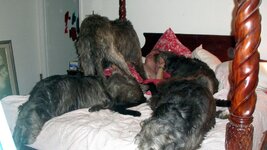 pack on bed w-bill -2010.JPG