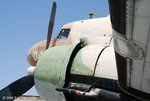 DSC_1487.jpg