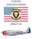 493FS_2_Front.jpg