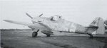 Bf109G-6_Yellow-9_JG54.jpg