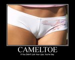 cameltoe.jpg