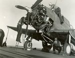 SBD-2.jpg