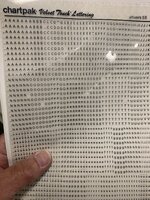 IMG_9246.jpeg