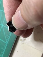 IMG_3681.jpeg