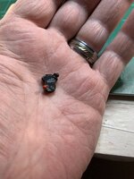 IMG_3726.jpeg