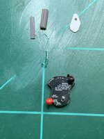 IMG_3733.jpeg