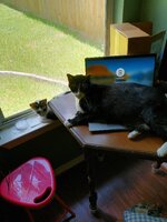 IMG_20240717_130306.jpg