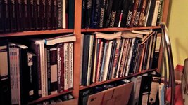 P_20220911_195559.jpg
