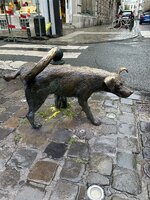IMG_2003.jpeg