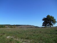 DSCN4669.jpg DSCN4669.jpg