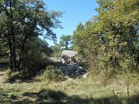 DSCN4679.jpg DSCN4679.jpg