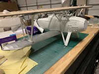 IMG_9729.jpeg