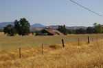 IMGP0286a.jpg
