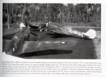 kitty p-40N with splotches.jpg